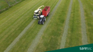 webbinarie-kan-ett-bra-grovfoder-bli-battre